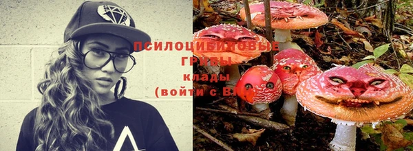 тгк Снежинск