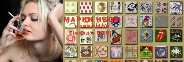 тгк Снежинск