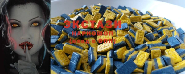 тгк Снежинск